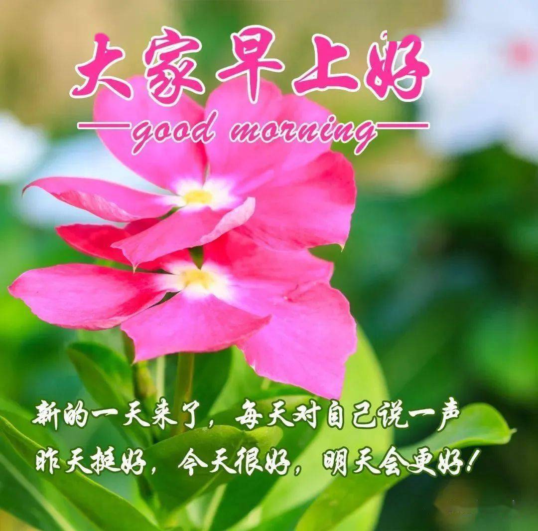 日历年什么意思_1985年日历_日历年度