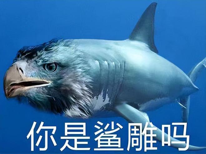 怎么下载沙雕模拟器_沙雕游戏手机能下载的软件_沙雕手机单机游戏