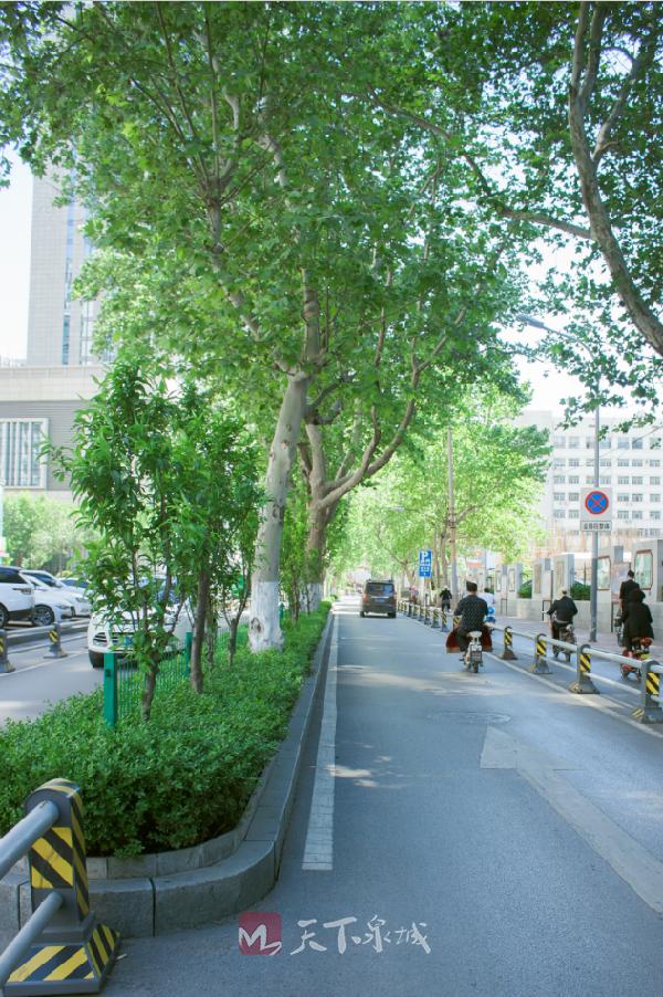 苗木困_苗木困_苗木困