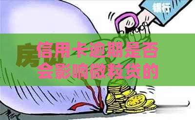 微信的微粒贷款_微信微粒贷在哪_微信微粒货借款