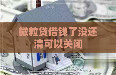 微信的微粒贷款_微信微粒贷在哪_微信微粒货借款