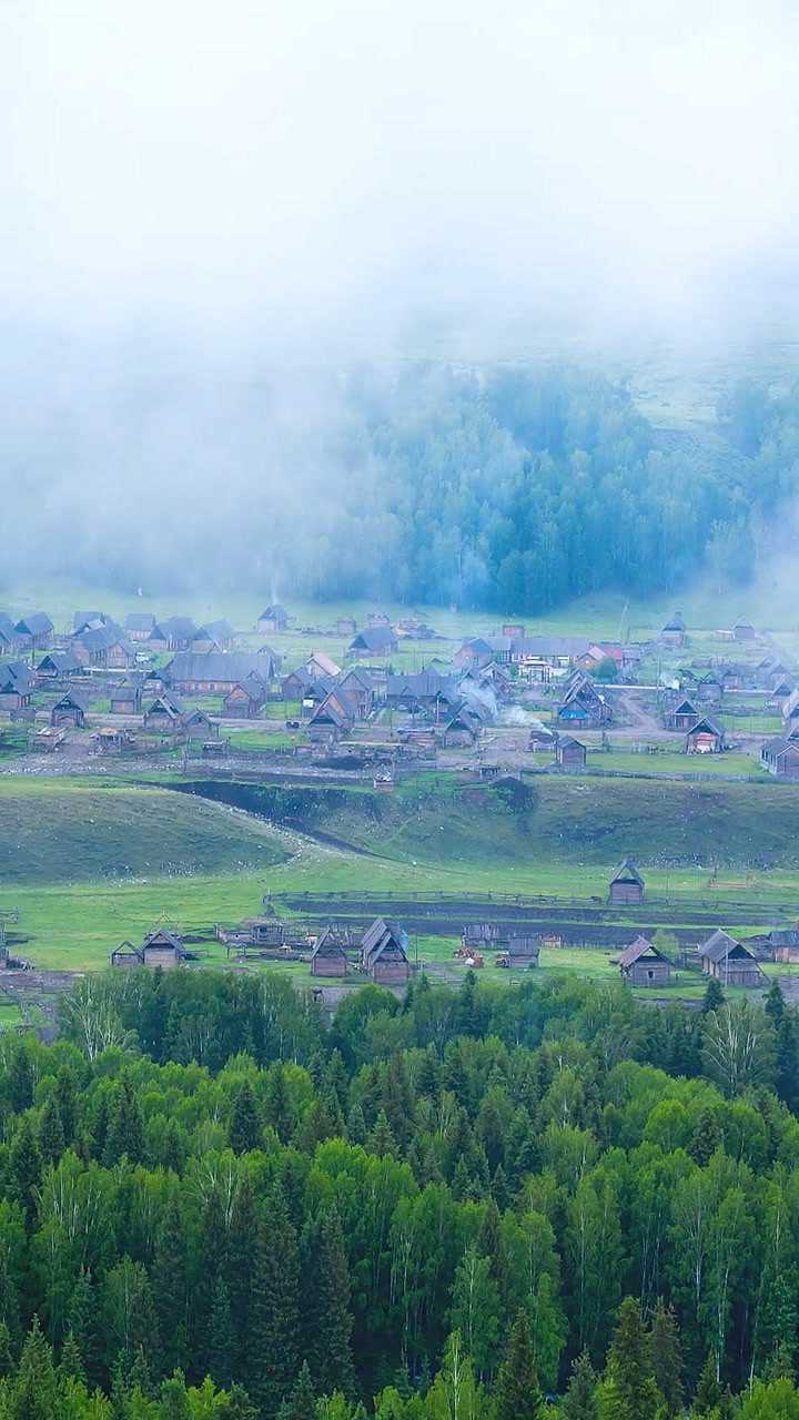 米花町_米花町_米花町