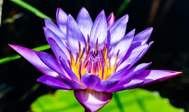 恐怖游戏不用手机_恐怖的手机小游戏_手机没恐怖游戏
