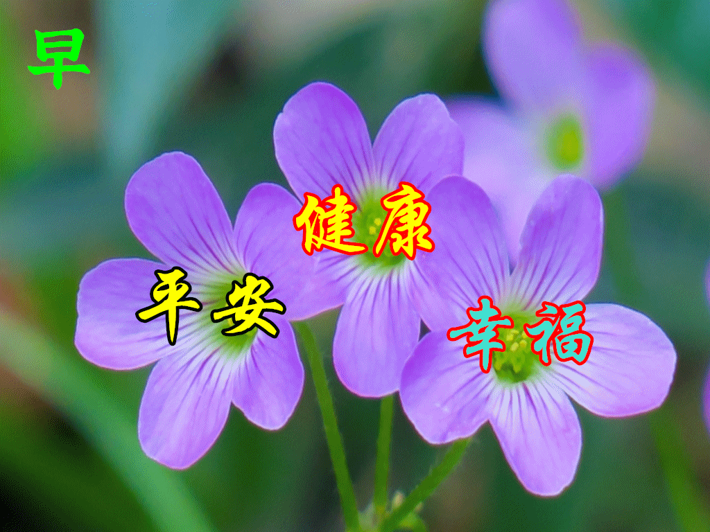 月年2023年_2025年是不是闰月年_2021年3月27日