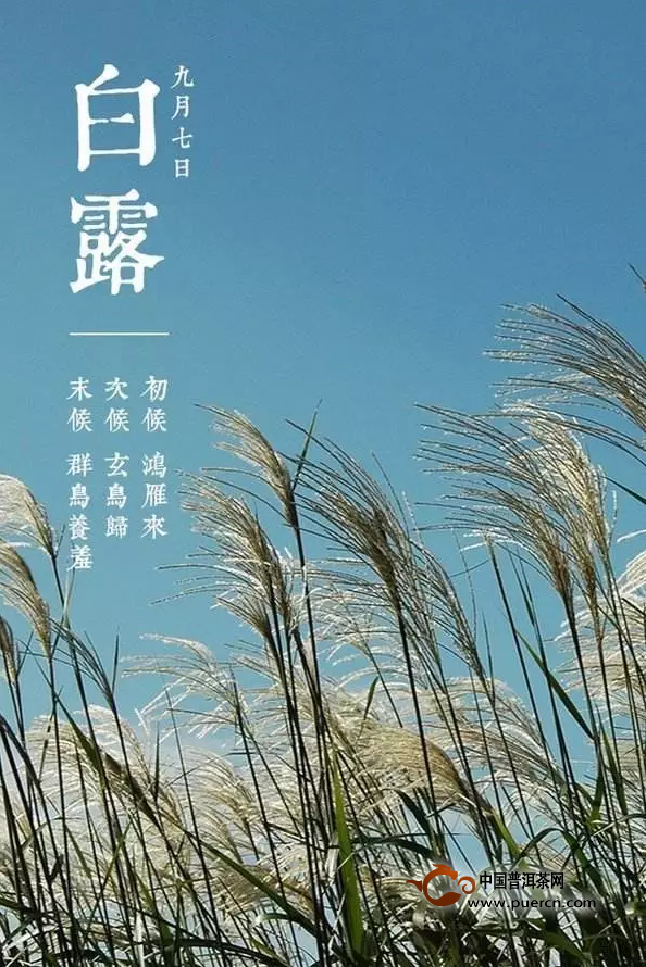 白露是什么时候_白露是什么季节什么意思_白露的时候是什么