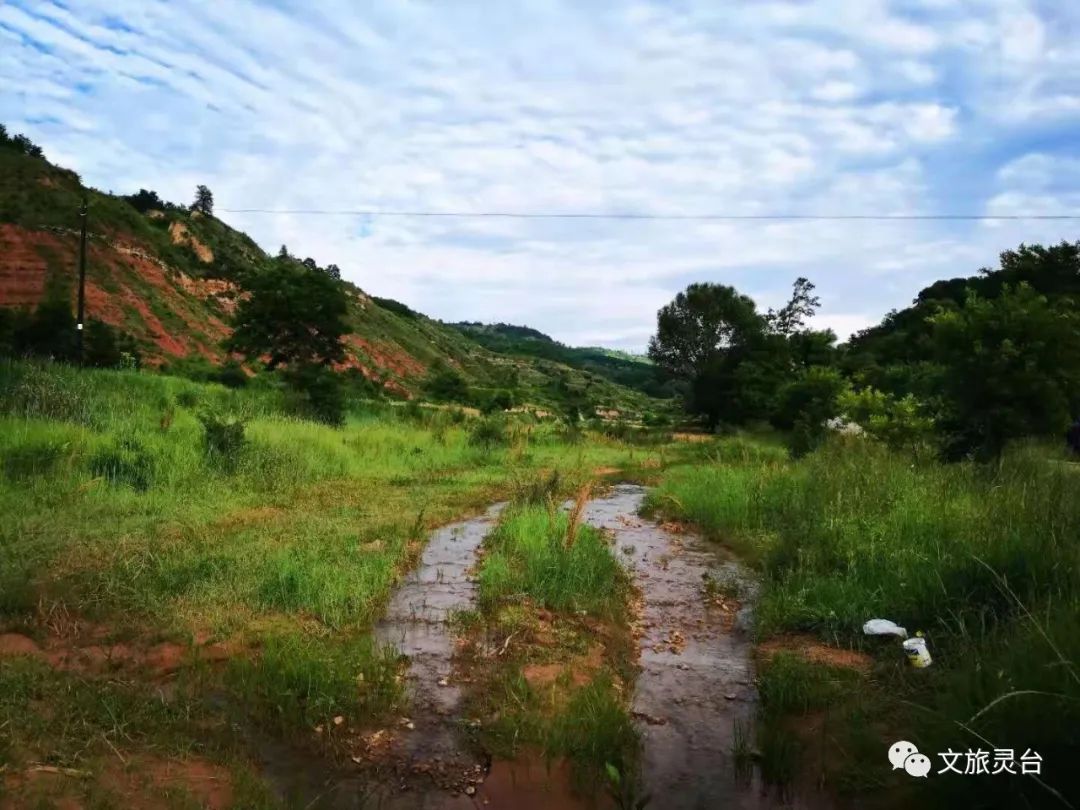 拓海碓冰名字怎么读_碓冰拓海_拓海碓冰的身份