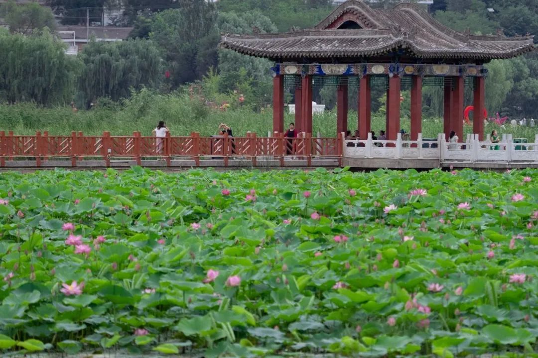 碓冰拓海_拓海碓冰的身份_拓海碓冰名字怎么读