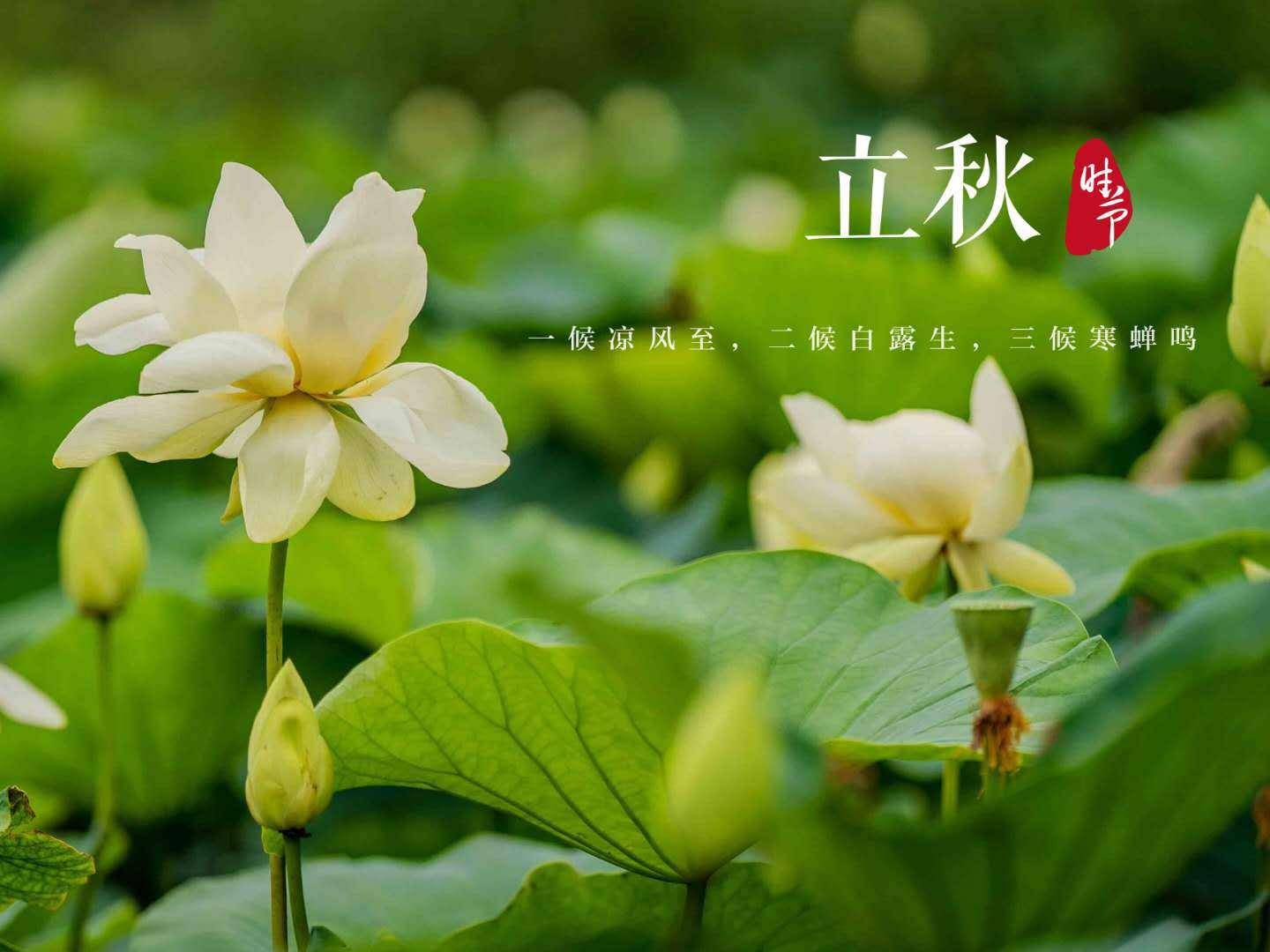 碓冰拓海_拓海碓冰名字怎么读_拓海碓冰的身份