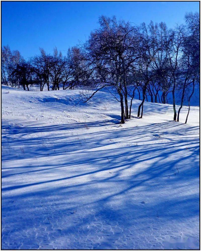 北扬克顿的冬天：承载着过往的冰雪记忆