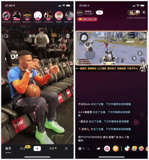 诺科在哪里玩,探索青浦·练塘的欢乐时光