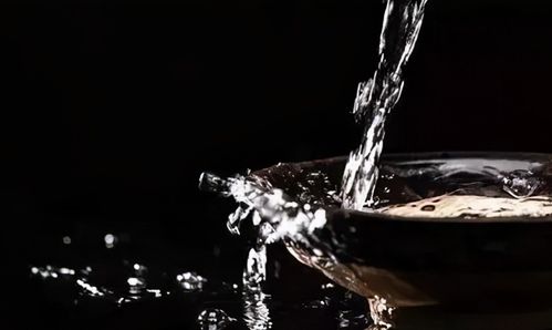 白酒类游戏,酒仙网官网首页