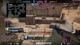 澳洲csgo游戏群,激情碰撞，竞技盛宴