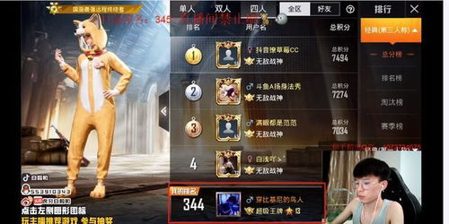 白鹤游戏名字,白鹤游戏名字的魅力与创意