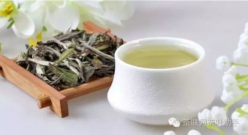 白茶说游戏