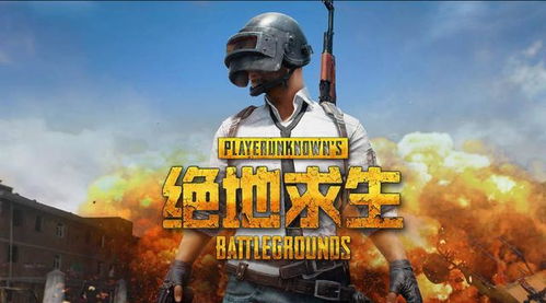 把求生游戏,挑战极限，体验生存的艺术