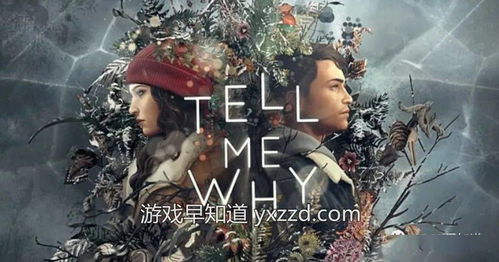 谓何游戏,探索未知世界的奇幻冒险之旅