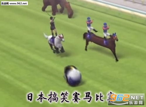 搞笑赛马游戏,笑料横生的竞技盛宴