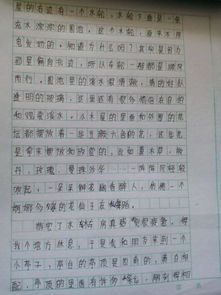 我喜欢的游戏作文400字,我与“猫捉老鼠”游戏的欢乐时光