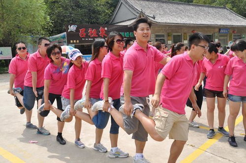 关于团队的游戏,趣味团队游戏体验集锦