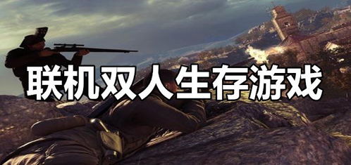 双人生存联机游戏,精选双人生存联机游戏大盘点