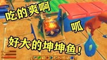 呱呱菌游戏,解锁奇幻世界之旅
