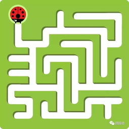 关于注意力的游戏,亲子互动游戏精选指南