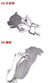 手影游戏有,光影交织的奇幻冒险之旅