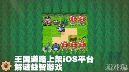 解谜游戏益智,探索解谜游戏的智慧奥秘