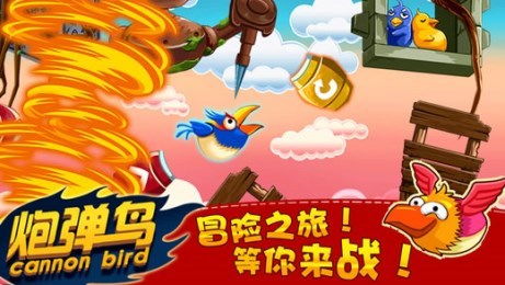 冒险鸟游戏,探索未知世界的奇幻之旅