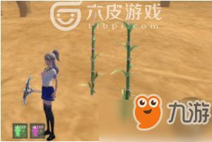 魔法玉米游戏,解锁神秘世界的秘密