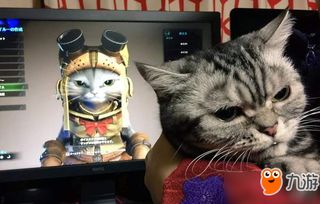 游戏围观猫,揭秘游戏世界中的神秘猫咪传说