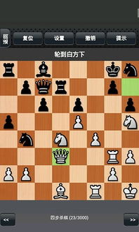 天天国际象棋 