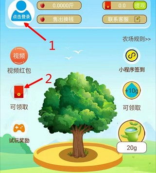 游戏多多果林,奇幻冒险的绿色乐园