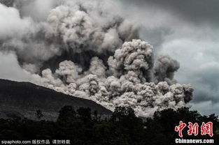 火山的女儿 