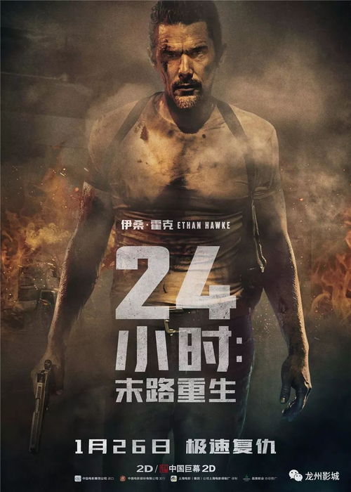 归途24小时 