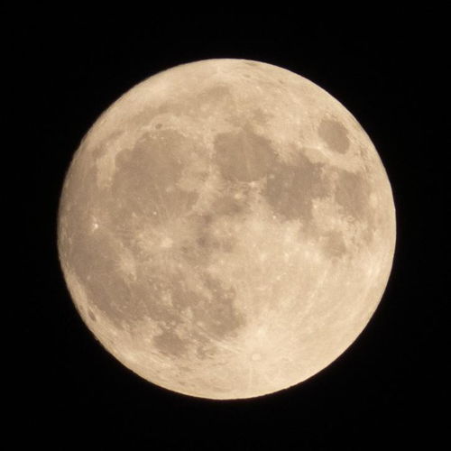 月圆之夜安卓官网正版下载apk 