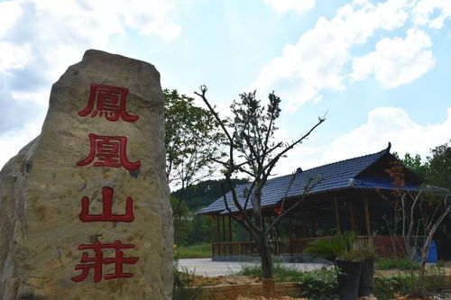仓鼠村庄下载安装 