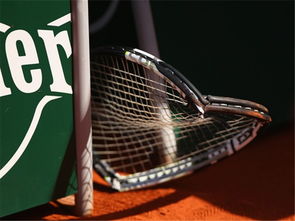 机动都市阿尔法网易版下载 