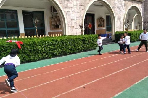 户外集体游戏球,球类运动的欢乐盛宴