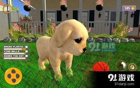 喂养小狗游戏,与小狗共度欢乐喂养时光