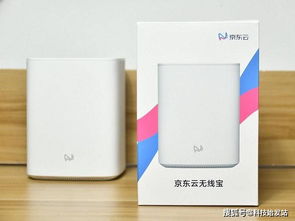 天线宝宝的午夜后宫 